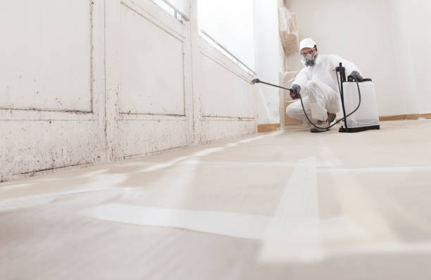 24/7 Emergency Mold Remediation experts in Union City, PA