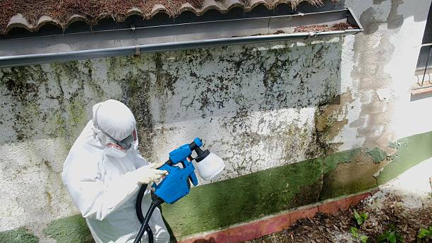 Top rated local Mold Remediation specialists in Union City, PA